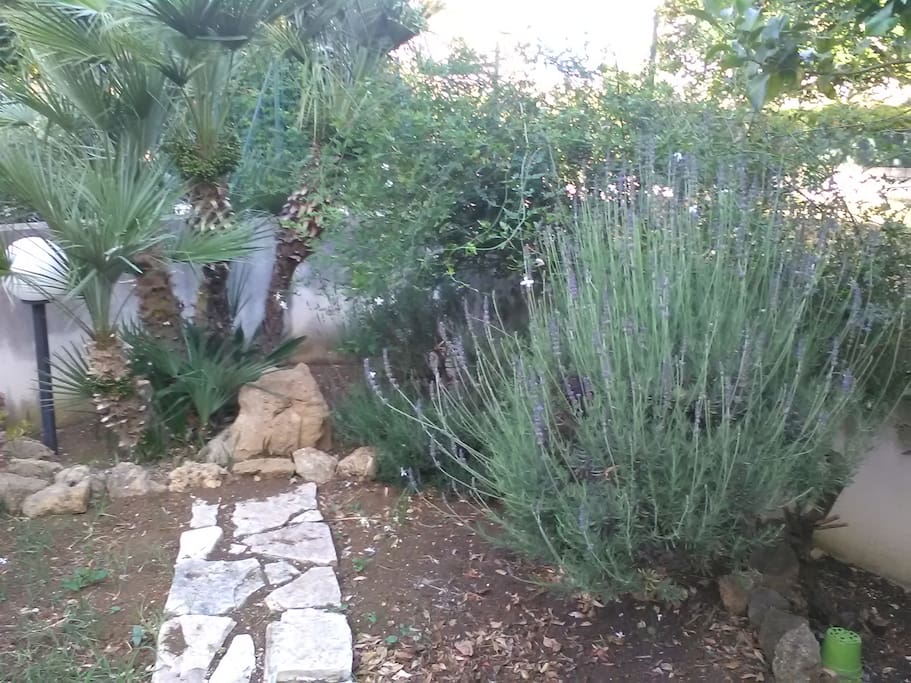 Giardino