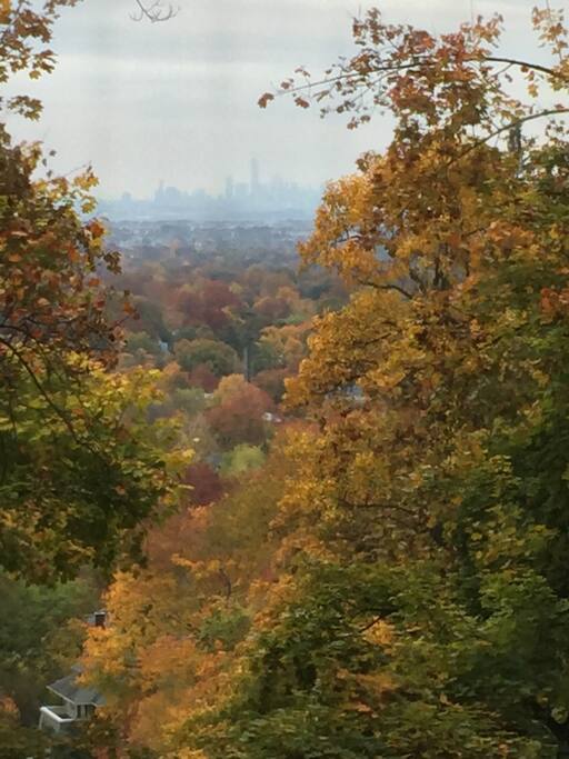 View of Manhattan in distance from BR