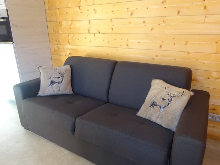 Studio Savoyard à  Abondance - Abondance