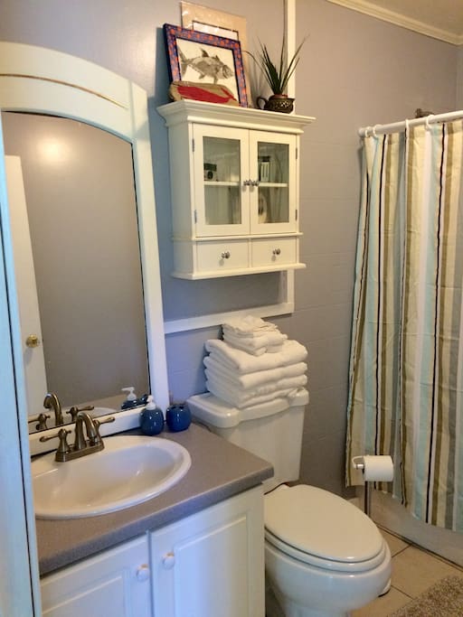 1st floor full bathroom