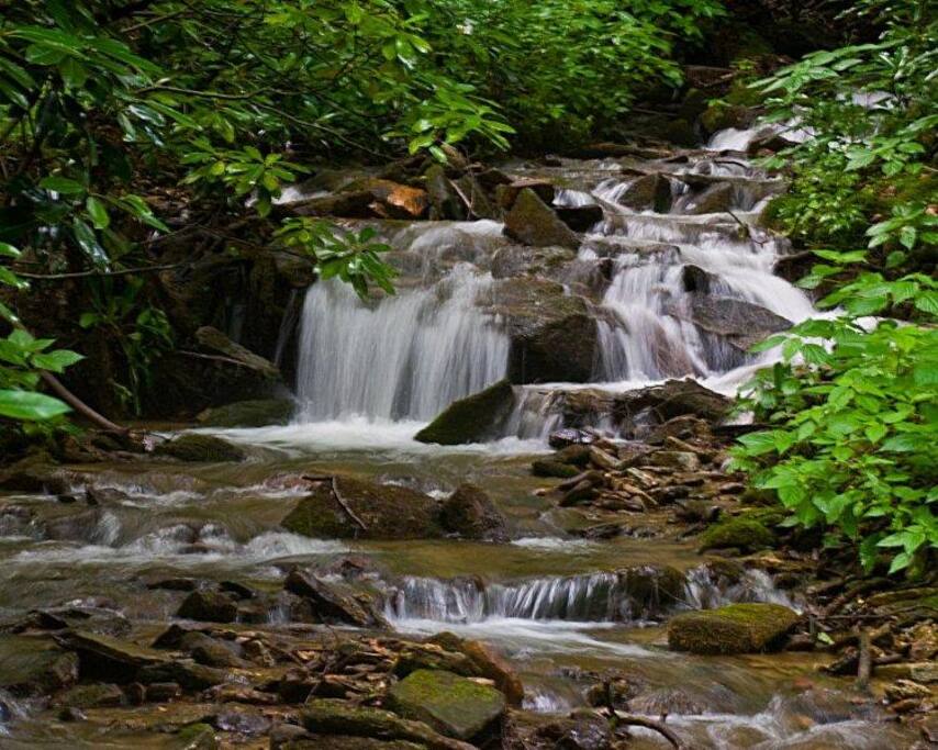 Cross the Johnson Branch Creek to arrive at the cabin.