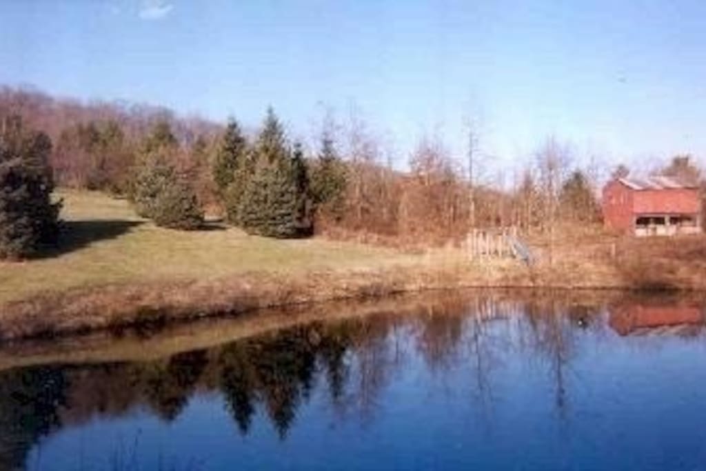 Horse barn and pond