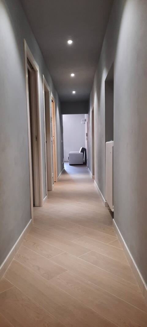 Bright and  spacious apartment