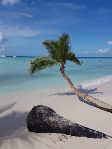 Stylish Bavaro Beach Apartment 3 beds WiFi