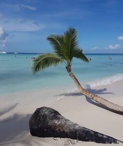 Stylish Bavaro Beach Apartment 3 beds WiFi