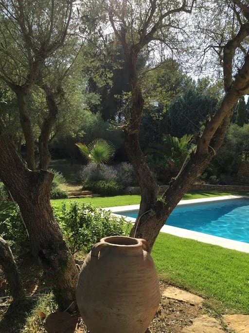 Typiquement provençal