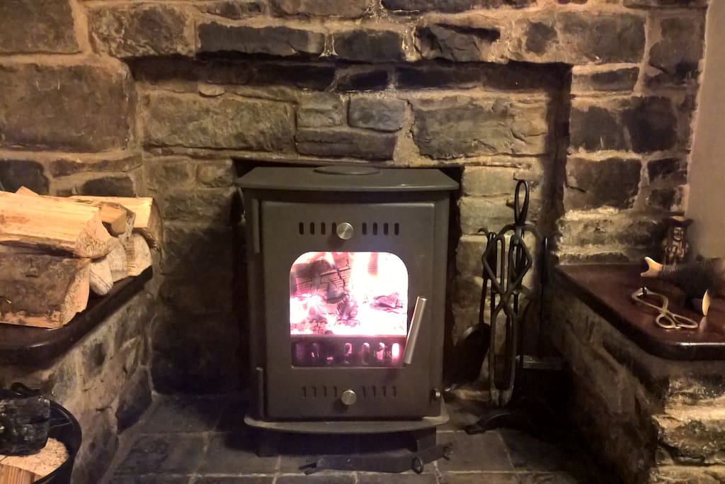 Log Burner