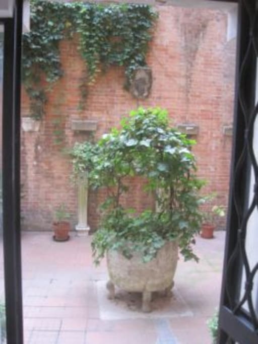 courtyard wheel