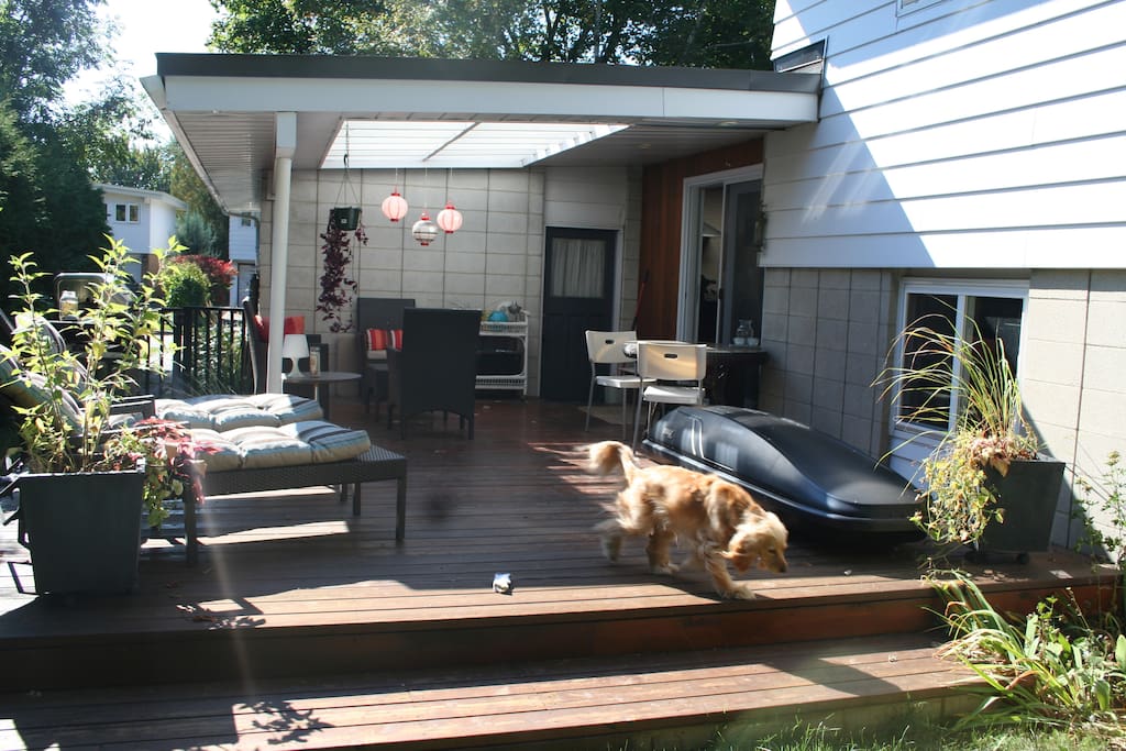Back Deck
