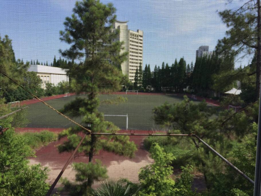 房间窗户对外