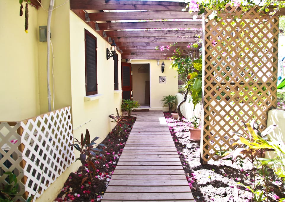 Shady jungle entrance