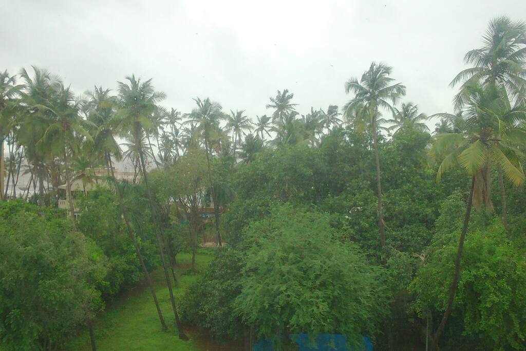 View from the living room