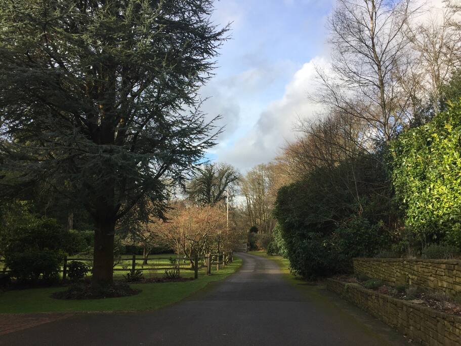 Driveway