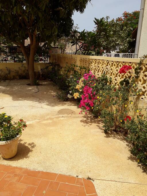 La Cour