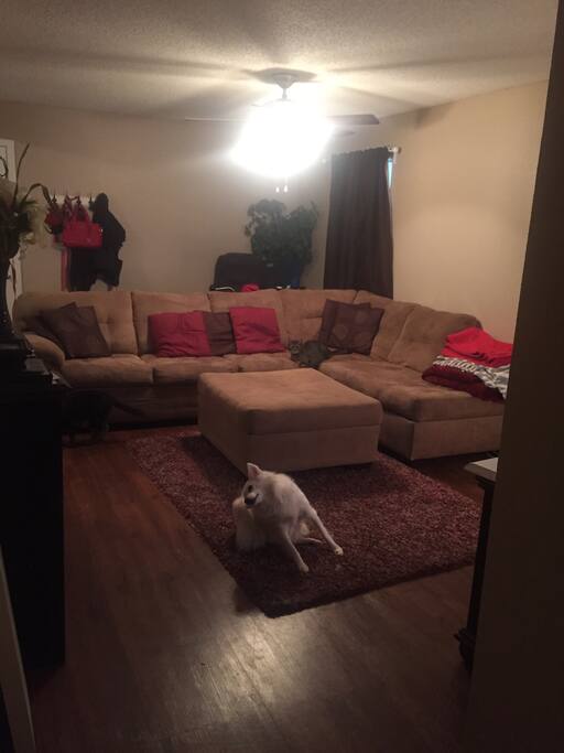 Large Sectional Couch - can fit two