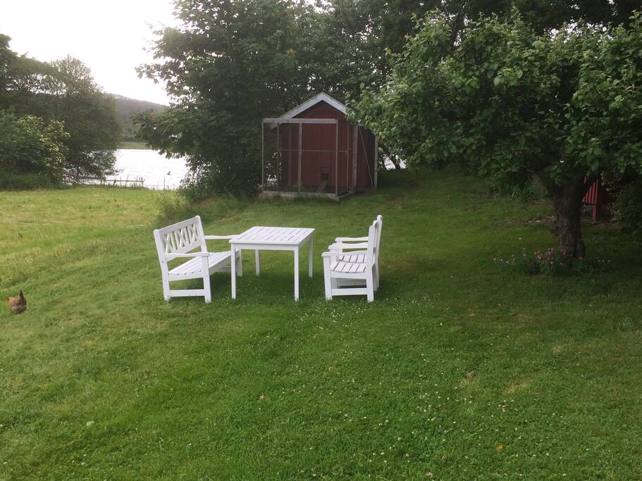 Utsikt fra terrassen.