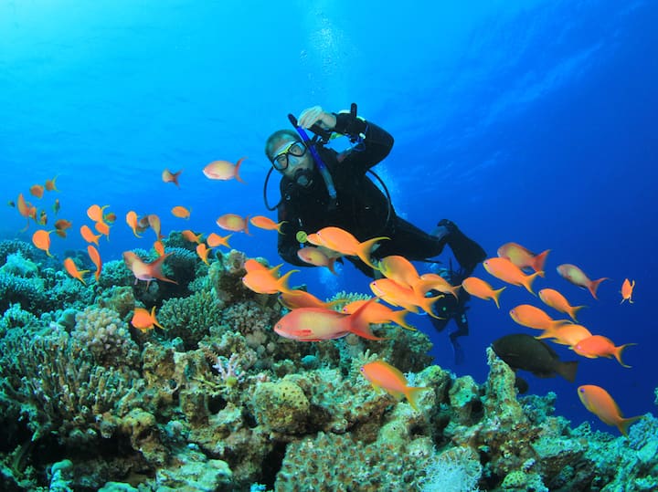 Curacao#kwenye#ni#bora