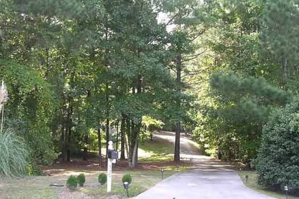 This is the long paved driveway leading up to the serene and woodsy property.