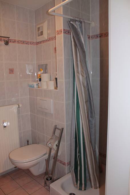 bathroom, toilet and shower