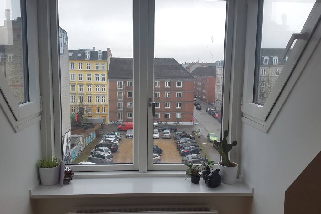 View from the kitchen