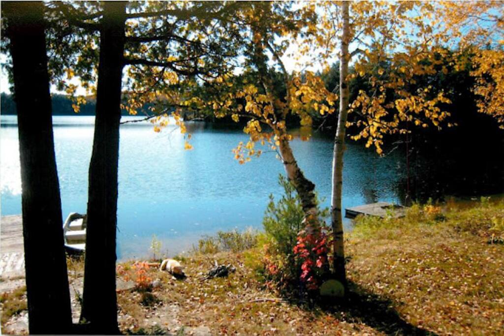 Secluded bay (view from Merrymeet window)