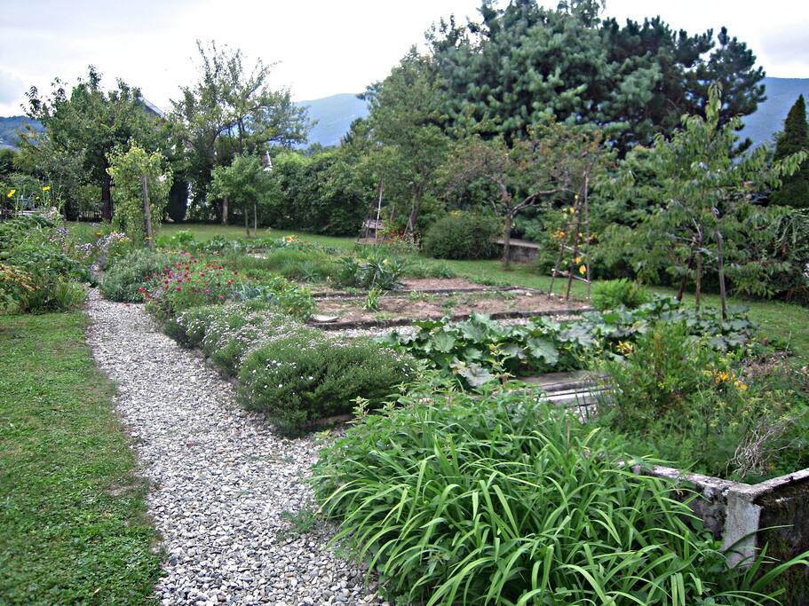 Jardin