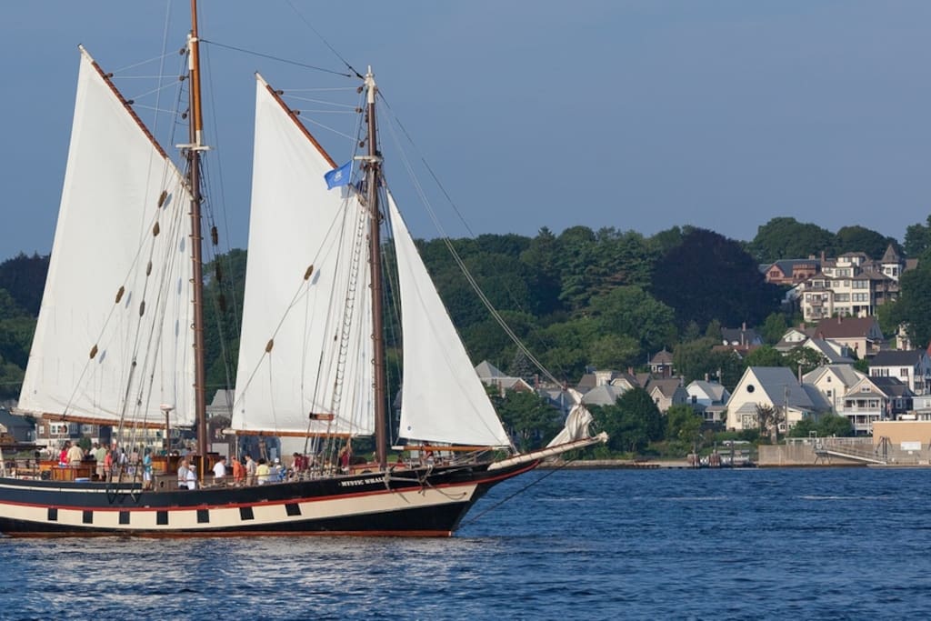 Haul on a halyard, bask in the sun or watch the scenic coast slip by. Escape aboard the Mystic Whaler