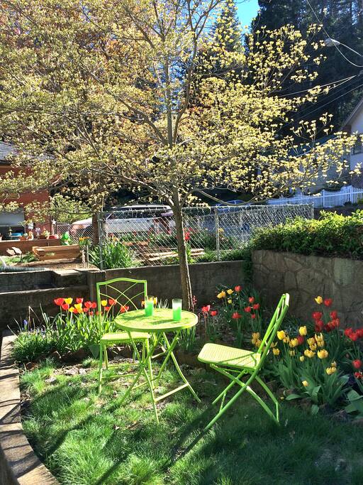 Enjoy the front yard.