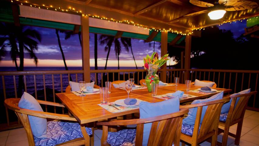 Dolphin Paradise gallery image 3