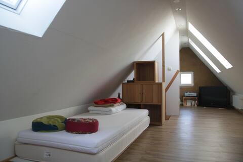 Attic with pointed floor near university