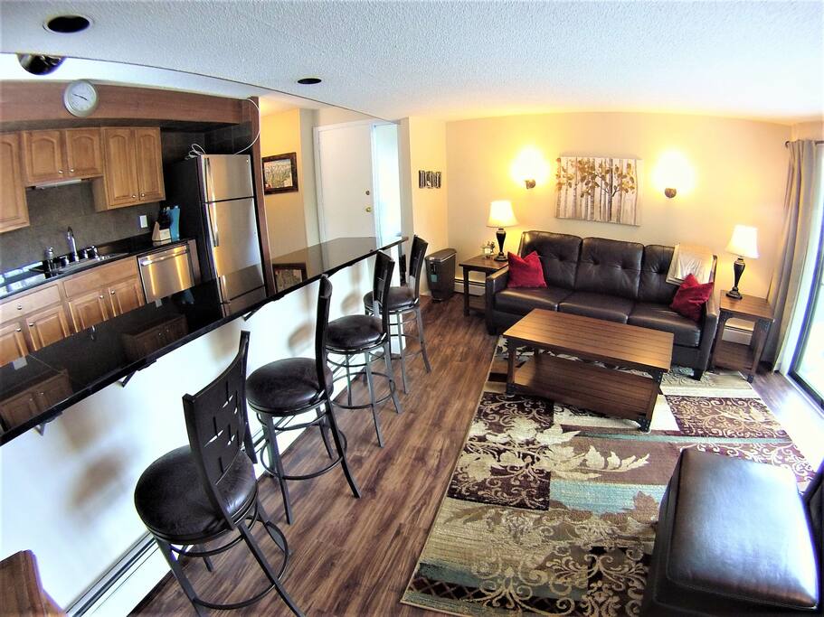 Livingroom and Kitchen