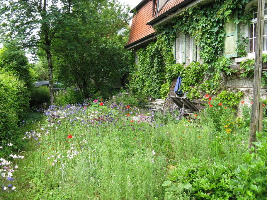 Terassenbenutzung