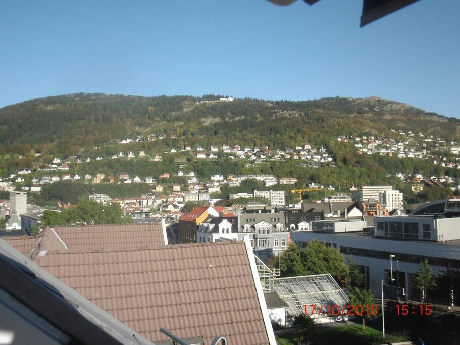 View from the living room