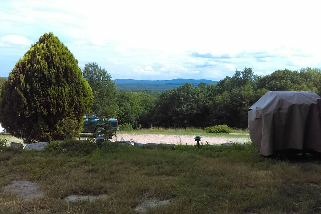 View from patio, early summer.