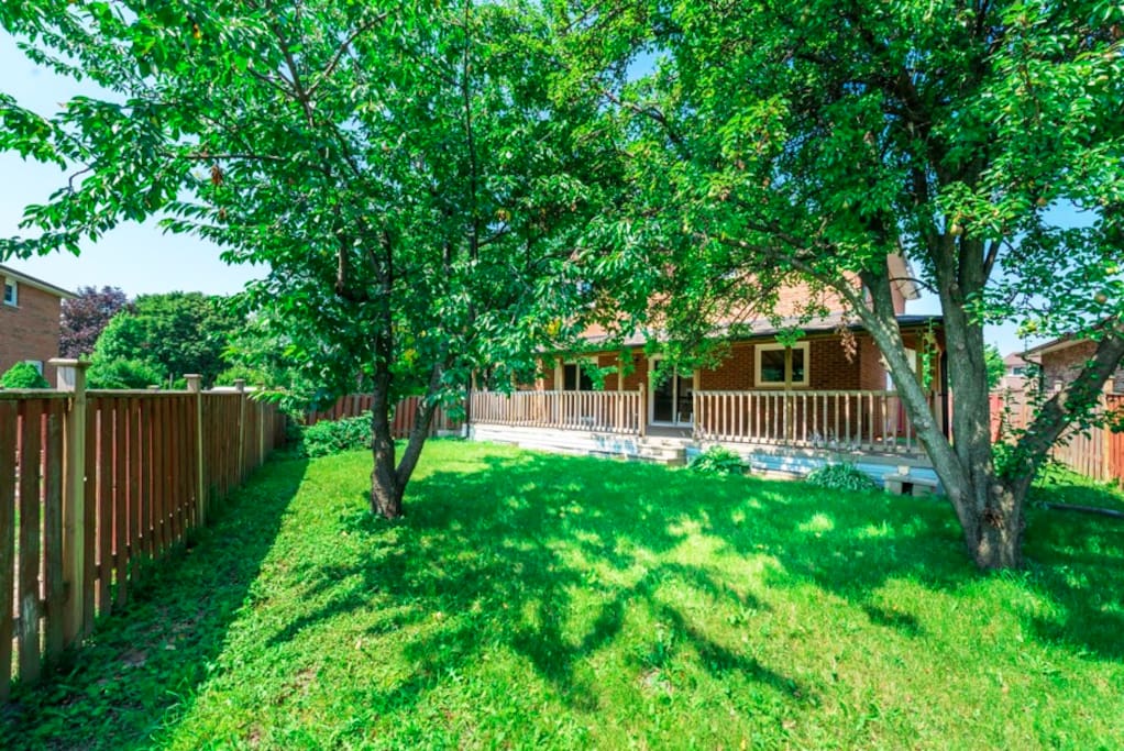 Huge private backyard! With cherry and apple tree!