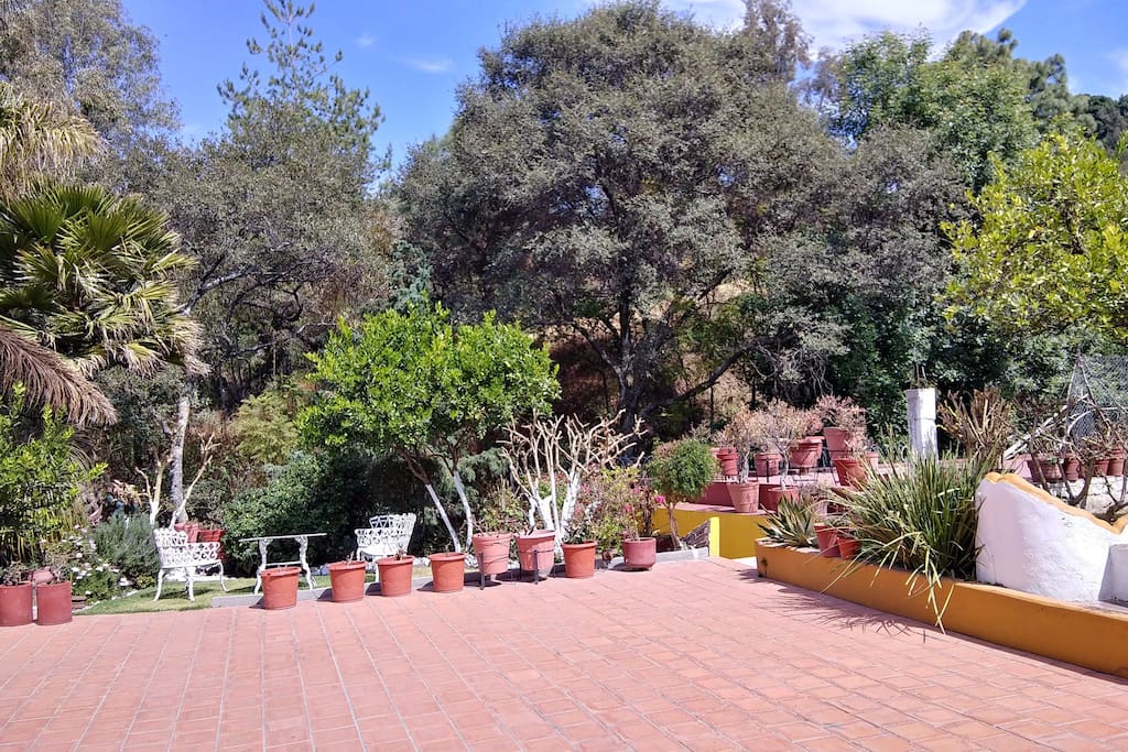 jardin y areas verdes
