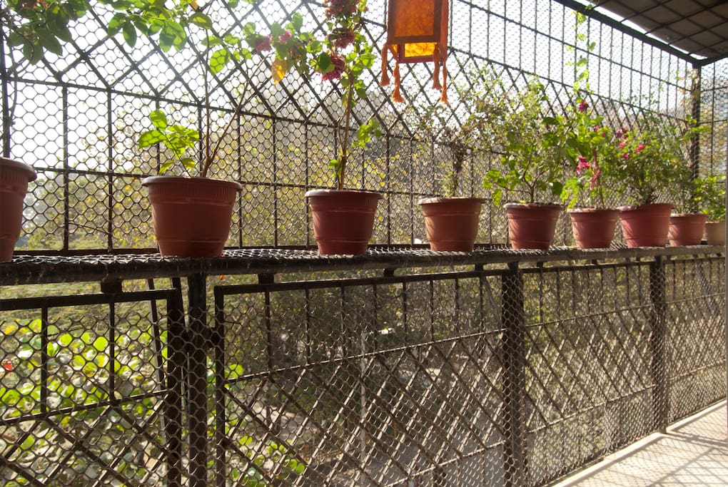 Balcony: Wouldn't you want to sip a cup of tea/ coffee while enjoying the view from here?