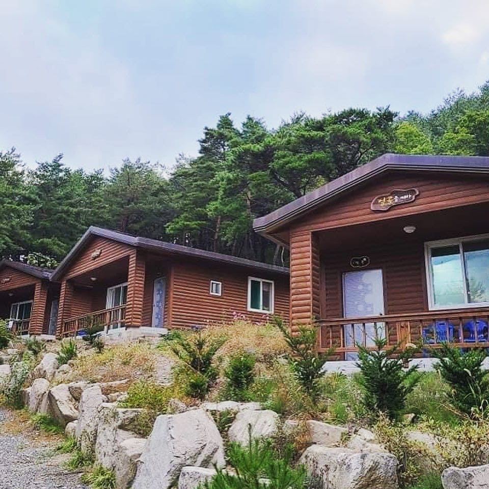Two wooden cabins are set against a backdrop of lush pine trees. Each cabin features a spacious front porch with seating and large windows allowing natural light. Rocky landscaping enhances the rustic charm of the surroundings.