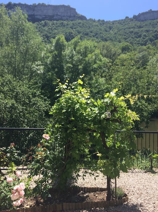 Views from the garden across the River Aveyron of the Roc d'Anglars