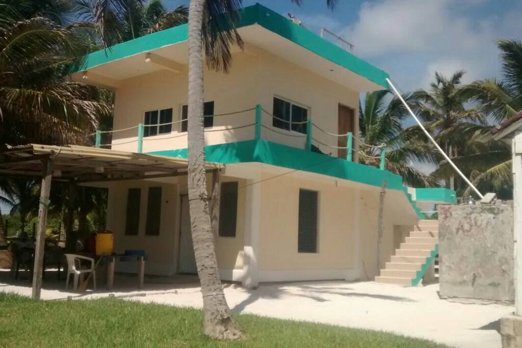 Planta alta disponible