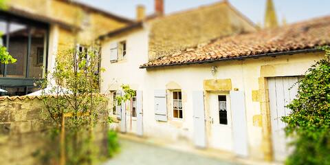 Le Cul d 'Chouette -House & E-Bike- Marais Poitevin