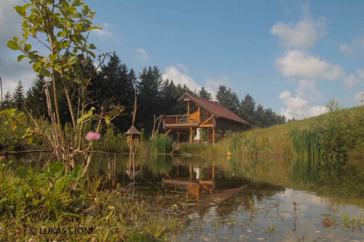 A rustic wooden cabin with a sloped roof is set near a calm pond, surrounded by green grass and trees. The cabin's reflection is visible in the water, enhancing the serene landscape. A few wildflowers and grasses frame the foreground.