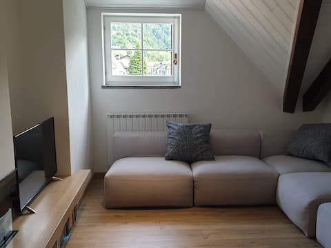 Cozy apartment with mountain view