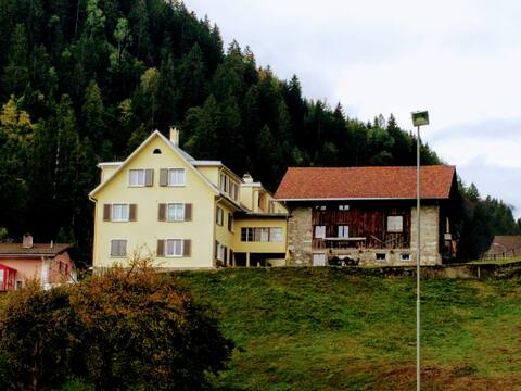 Charming apartment in the heart of Surselva