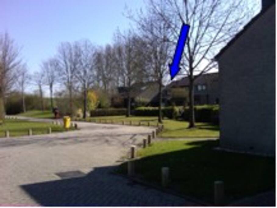 Ligging van het huisje op het park