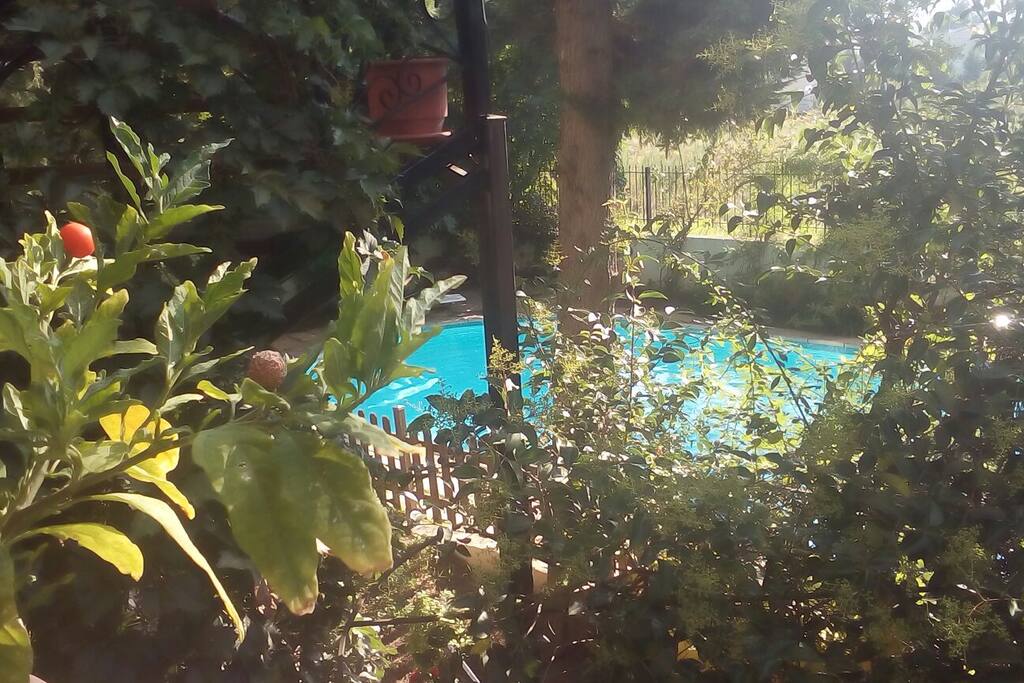 Πισίνα