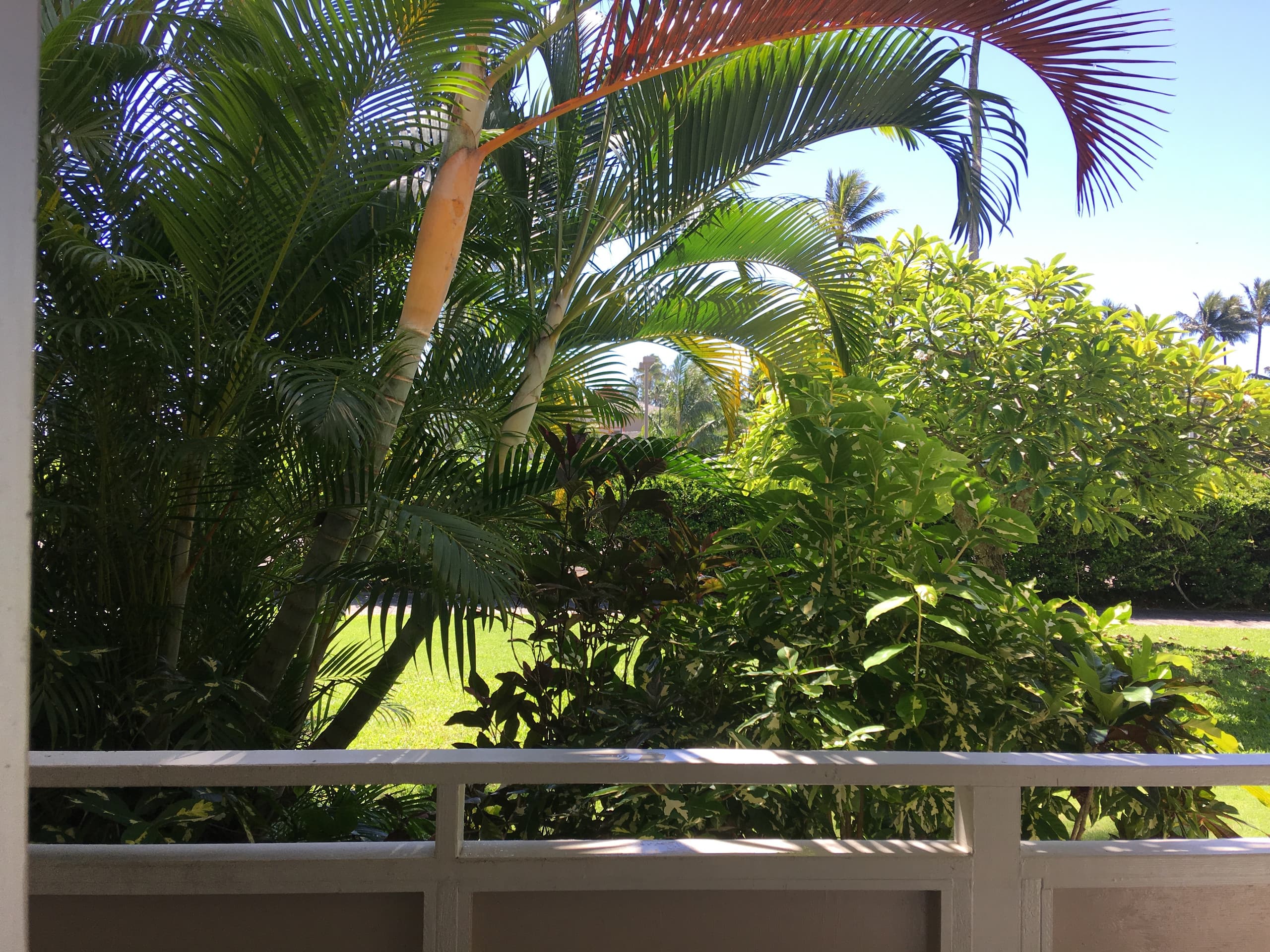 Tropical Condo Central Location-Makai facing lanai - Photo 15