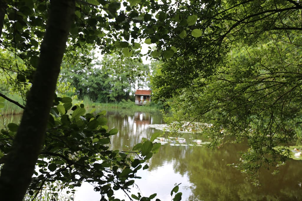 Grote vijver