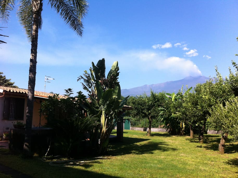 A view of Mt. Etna from the garden.
