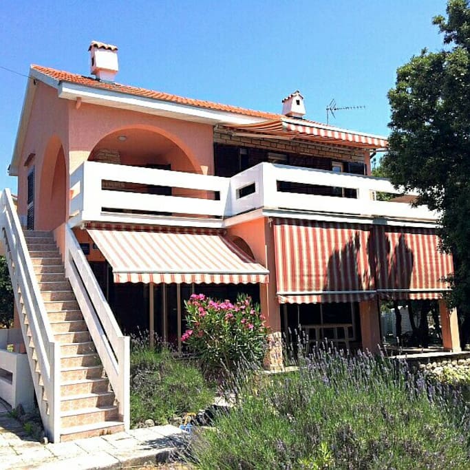 The house